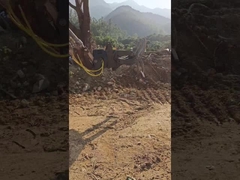 Ống thủy lực loại WuYing Grabber Excavator, Five-Claw Wood Grabber, Bộ đồ cho Excavator